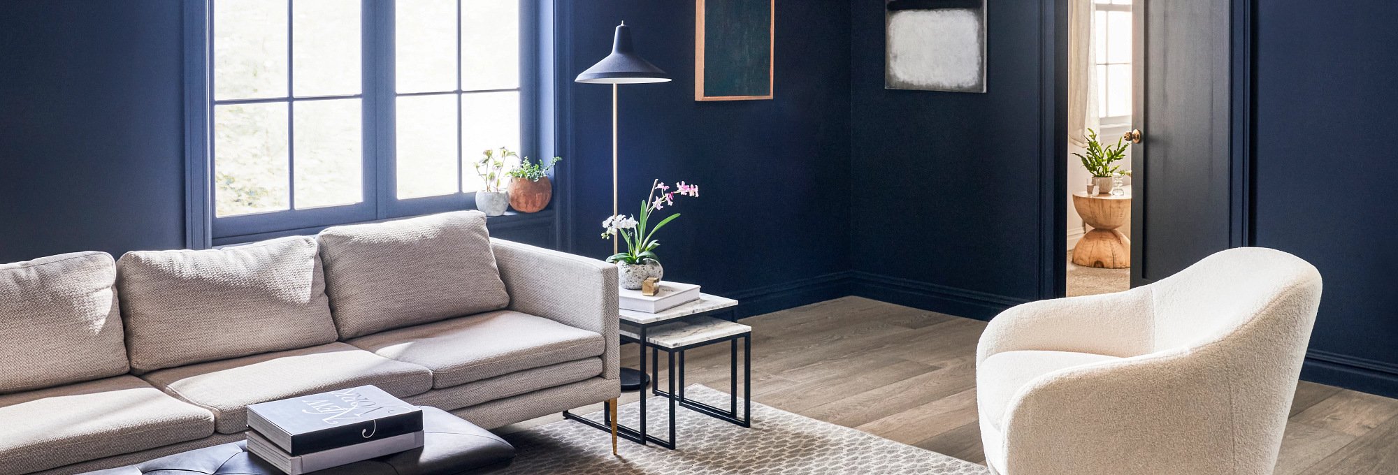 Living room with blue walls