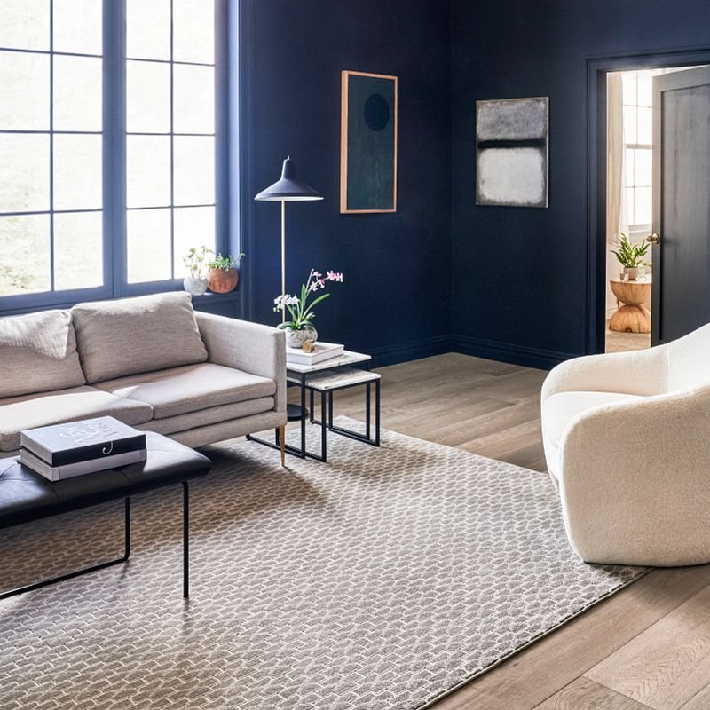 Living room with a rug from Expressway Carpet in Mobile, AL