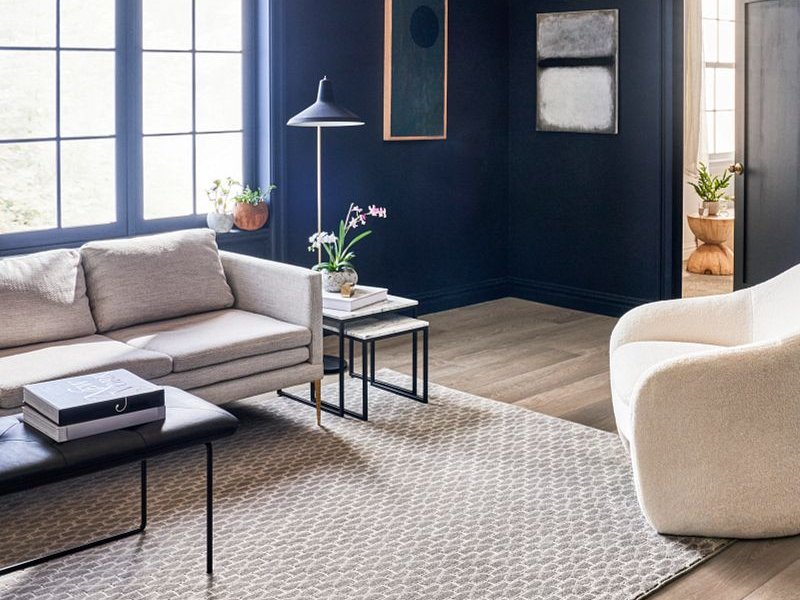 Living room with a rug from Expressway Carpet in Mobile, AL